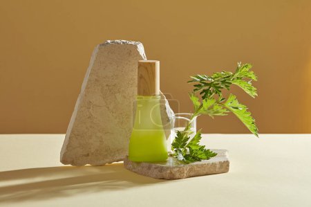 Mockup scene with empty bottle for cosmetics of mug-wort extract. Fresh mug-wort leaves and stone on brown background. Mug-wort is rich in AHA, which helps to exfoliate, remove sebum and clean the skin