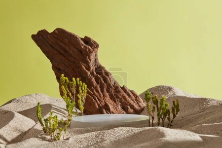 Téléchargez les photos : Plate-forme ronde vide, petit arbre vert et pierre brune dans le sable du désert, sur fond vert. Minimal fond de composition créative pour la présentation de cosmétiques ou de produits. - en image libre de droit