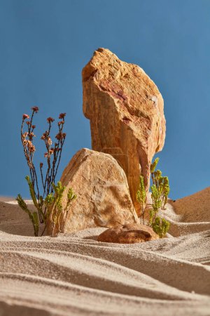Foto de Concepto de desierto con rocas, plantas desérticas y arena en el fondo azul del cielo. Escena de belleza natural para publicidad cosmética o producto. Vista frontal, espacio para copiar - Imagen libre de derechos