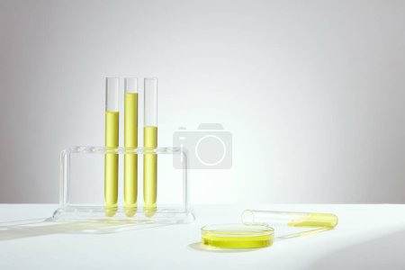 Téléchargez les photos : Vue de face de l'équipement de laboratoire rempli de liquide jaune dans une éprouvette et une boîte de Pétri sur fond clair. Thème du labo. Science et formation médicale - en image libre de droit