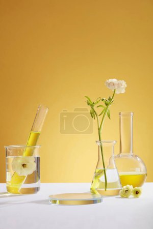 Minimal background with copy space for cosmetics and product presentation with test tube, beaker, boiling flask filled yellow liquid and empty podium. White flower decorated on yellow background.