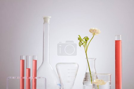 Photo for Lab theme with laboratory equipment filled with red liquid in light background. Science and medical background, skincare products and drugs chemical researches concept - Royalty Free Image