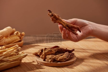 Photo for Front view of female hand picking up a red ginseng root. This is considered a rare and traditional medicine that has antioxidant effects, boosts the immune system and improves memory. - Royalty Free Image