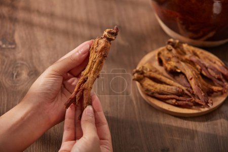 Téléchargez les photos : Une racine de ginseng rouge dans les mains des femmes sur un fond brun mat en bois. Les racines de ginseng rouge sont placées sur une assiette à côté du pot de décoction. - en image libre de droit