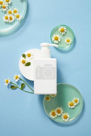 Top view of white empty bottle, fresh feverfew on petri dish, on blue background. Mockup scene for cosmetic product of feverfew (tanacetum parthenium) extract. Advertising photo, copy space.