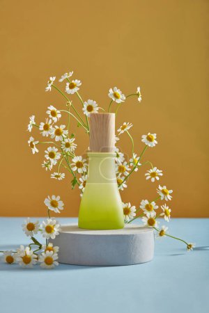 Photo for Mockup scene for product of feverfew extract with empty bottle put on white podium and fresh feverfew on yellow background. Herbal remedies to treat migraines. Front view. Tanacetum parthenium. - Royalty Free Image