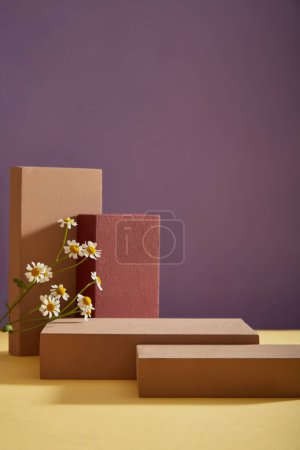 Photo for Front view of empty podiums and fresh feverfew on purple background. Minimal art background with copy space for cosmetics, business branding and product presentation. Space for text and design. - Royalty Free Image