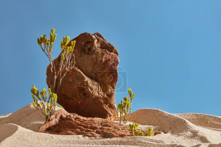 Foto de Escena natural del desierto con dunas de arena, grandes rocas marrones y árboles verdes sobre fondo azul del cielo. Escena para productos publicitarios o cosméticos con concepto natural. - Imagen libre de derechos