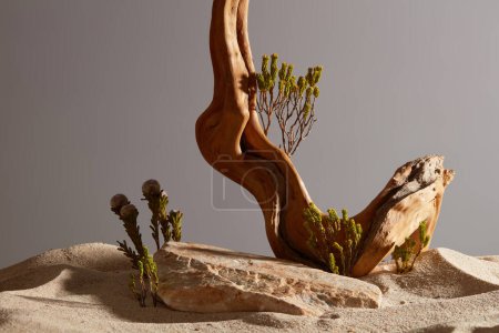 Foto de Vista frontal de roca, ramita seca, pequeño árbol verde y desierto de arena en marrón oscuro. Rocas vacías como plataforma para el producto de exhibición. Concepto de belleza natural, fondo mínimo. - Imagen libre de derechos