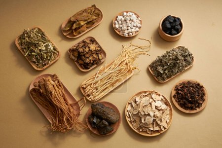 Medicina tradicional china con hierbas colocadas en placas de madera sobre fondo marrón claro. Vista superior, escena para publicidad de medicina