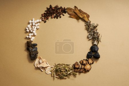 Top view of traditional Chinese medicines arranged in a circle on light brown background. Herbs to help supplement and enhance health. Empty space for text and design.