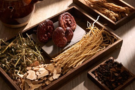 Photo for Natural, rare and healthy medicines are placed on wooden trays on brown table background. Traditional Chinese medicine is used in the prevention and treatment of diseases - Royalty Free Image