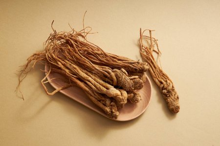 Vue du dessus des racines d'angelica sinensis sur des plats en bois sur fond brun. Ceci est considéré comme un type de ginseng pour les femmes, a pour effet de réguler les règles.