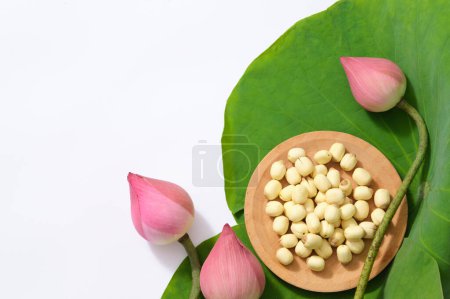 Photo for Lotus buds, green leaves and lotus seeds on white background. Blank space for text or design. Flower national of Vietnam Nam. Top view, flat lay. (Nelumbo nucifera) - Royalty Free Image