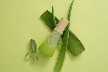 Un recipiente cosmético de belleza degradado apoyado en hojas de Aloe vera. El gel de aloe vera (Aloe barbadensis miller) ayuda a mantener la piel hidratada y cura las quemaduras