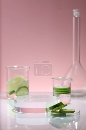 Photo for Cucumber slices is put inside beakers and a petri dish, decorated with round transparent pedestal. Stage showcase for cosmetic product presentation of Cucumber (Cucumis sativus) extract - Royalty Free Image