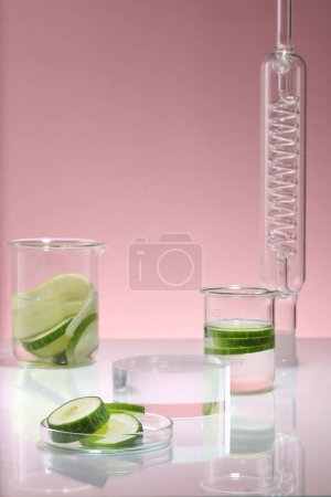 Photo for Laboratory scene with beakers, glass petri dish of Cucumber slices and a condenser. Beauty product extracted from Cucumber (Cucumis sativus) can be displayed on empty cylinder podium - Royalty Free Image