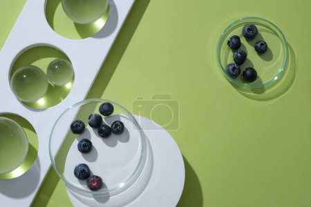 Photo for Several glass balls with different sizes displayed with glass petri dish of blueberries. Organic beauty product advertising with blank space. Blueberry has benefits for skin and health - Royalty Free Image