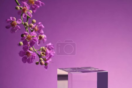 Foto de Exhibición de fondo púrpura abstracta presentación mínima del producto del podio muestran plataforma del pedestal de la etapa cosmética con el cubo transparente. Vista de cerca - Imagen libre de derechos