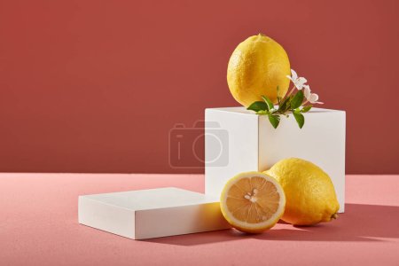 Téléchargez les photos : Un citron et des fleurs blanches sont exposés sur un podium de cube blanc sur un fond rose. podium carré vide pour vitrine de scène produit de beauté de citron (Citrus limon) extrait - en image libre de droit