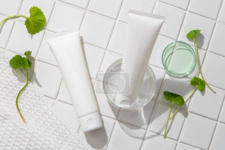 Two white skin care container without label decorated with a glass petri dish and Gotu kola leaves. Gotu kola (Centella asiatica). Beauty cosmetic product with empty label for mockup design Two white skin care container without label decorated with a