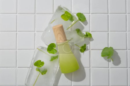 Photo for A cosmetic container with gradient color is displayed with frozen fresh Gotu kola leaves. Gotu kola (Centella asiatica) has cool properties to help purify and cool the skin - Royalty Free Image