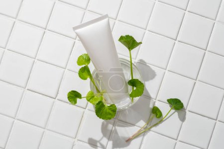 Photo for Over mosaic tiles background, a white tube displayed with fresh Gotu kola leaves. Gotu kola (Centella asiatica) helps restore skin barrier and prevent transepidermal water loss - Royalty Free Image