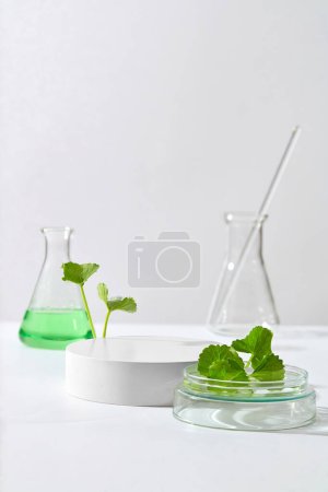 Foto de Erlenmeyer matraz lleno de líquido verde con un podio redondo y hojas de gotu kola. Espacio vacío para la presentación del producto del extracto de Gotu kola (Centella asiatica) - Imagen libre de derechos
