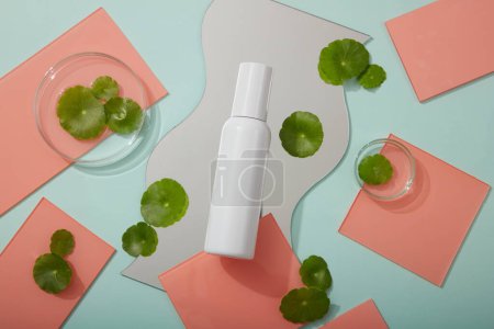 Many pink acrylic sheets arranged with glass petri dish, geometric mirror and empty label bottle. All skin types can benefit from Gotu kola (Centella asiatica) product