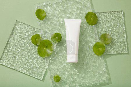 Photo for Blank label white tube placed on a rectangle acrylic sheet. Branding mockup. Gotu kola (Centella asiatica) helps strengthen the skin's barrier - Royalty Free Image