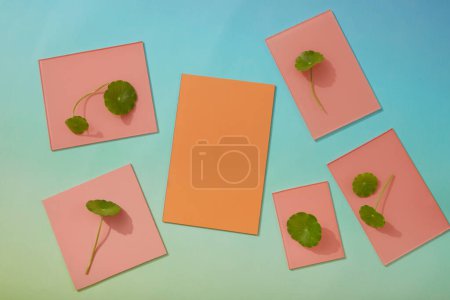 Rectangle acrylic sheets with coral and pink colors decorated with few fresh leaves. Gotu kola (Centella asiatica) have anti-inflammatory properties