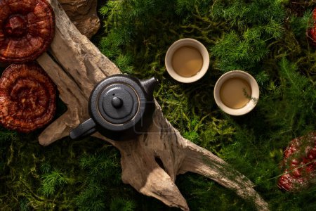 Téléchargez les photos : Pot à thé en terre noire posé sur une branche d'arbre sur fond vert naturel avec mousse et plante. Champignon lingzhi (Ganoderma Lucidum) pourrait diminuer l'anxiété et la dépression - en image libre de droit