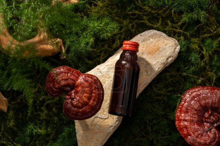Unbranded glass bottle containing herbal medicine placed on a block of stone, decorated with Lingzhi mushrooms. Lingzhi mushroom (Ganoderma Lucidum) has anti-cancer properties
