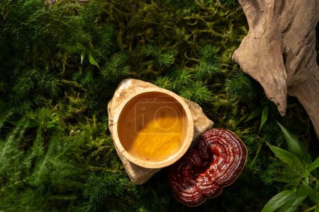 Foto de La medicina herbal contenía un tazón de madera puesto en una piedra y decorado con hongo Lingzhi (Ganoderma Lucidum). Fotografía contenido de medicina tradicional - Imagen libre de derechos