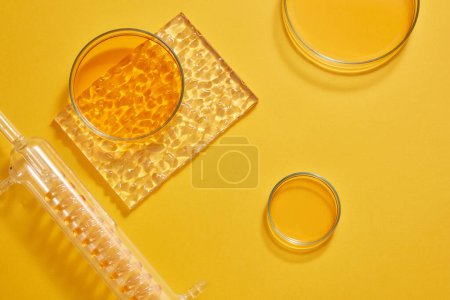 Photo for Flat lay of a test tube with spiral pipe inside and several petri dishes filled with orange liquid decorated on orange background. Copy space for text adding - Royalty Free Image
