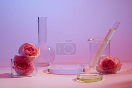 Foto de Concepto de laboratorio con matraz de florencia de fondo plano, vaso de precipitados, líquido contenido dentro del tubo de ensayo y placa de Petri. Promoción del extracto de Rose (Rosa) en el podio redondo - Imagen libre de derechos