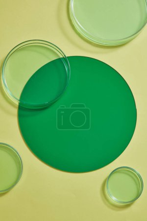 Photo for Top view of a round plastic board in green color decorated with several petri dishes filled with green fluid. Blank space to display beauty product design, skincare and haircare concept - Royalty Free Image