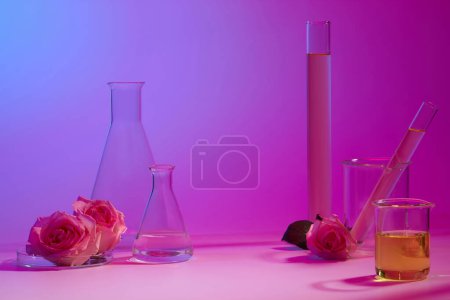 Foto de Matraz erlenmeyer con vaso de precipitados y tubos de ensayo que contienen líquido rosa y amarillo. Gradiente de fondo. Rosa (Rosa) desintoxica la sangre - Imagen libre de derechos