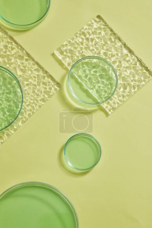 Photo for Green solutions is contained inside many glass petri dishes with different sizes. Concept laboratory tests and research natural extract making cosmetics - Royalty Free Image