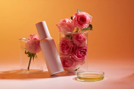 Photo for Roses are put inside two transparent beakers, a glass petri dish of yellow fluid with white bottle displayed. Skincare concept with empty label - Royalty Free Image