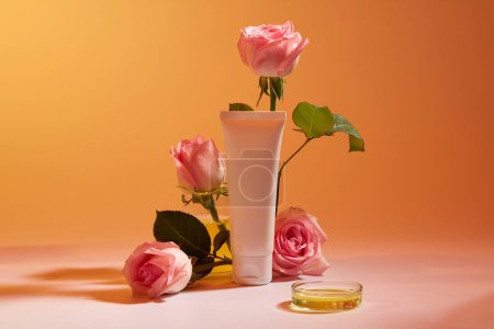 Photo for Yellow liquid filled inside a glass petri dish and beaker. Some Roses (Rosa) arranged around a white tube. Cosmetic branding product mockup - Royalty Free Image