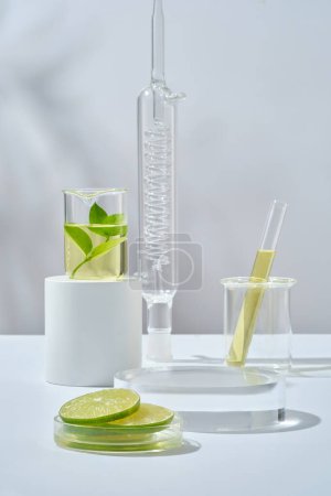 Boîte de Pétri en verre contenant des tranches de chaux, podium rond transparent avec verrerie de laboratoire sur fond blanc. Espace vide pour la publicité de produits d'extrait de chaux (Citrus aurantiifolia)