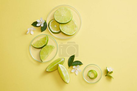 Top view of some glass petri dishes of Lime slices decorated with green leaves and white flowers. Blank space for cosmetic product promotion of Lime (Citrus aurantiifolia) extract