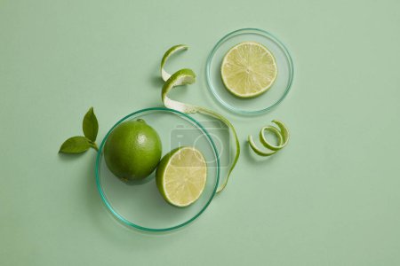 Petrischalen aus Glas mit Limettenscheiben darauf, dekoriert mit Schalen und grünen Blättern. Gesundes Konzept mit vielen Vorteilen für die Haut mit Limettenextrakt (Citrus aurantiifolia)