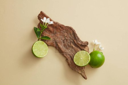 A big tree branch decorated with Lime slices and small flowers. Empty space on tree branch can be used to show your cosmetic product of Lime (Citrus aurantiifolia) extract