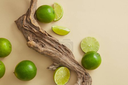 Photo for Minimal scene with a big tree branch displayed with Limes and slices. Using Lime (Citrus aurantiifolia) is a natural way to increase collagen. Product presentation - Royalty Free Image