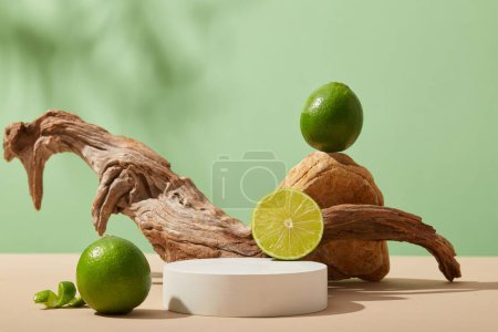 Empty white podium in round shape decorated with a block of stone, tree branch and Limes. Blank space for natural beauty product of Lime (Citrus aurantiifolia) extract advertising