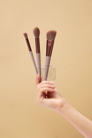 Téléchargez les photos : Belle main féminine tenant un ensemble de pinceaux de maquillage sur un fond beige minimal. Vue de face. Modèle de marque de brosse de maquillage - en image libre de droit