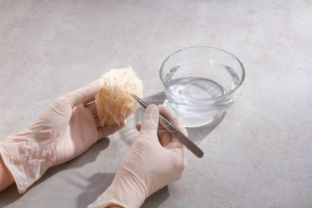 Photo for Gloved hands model is removing swiftlet feathers on an edible bird nest with a glass bowl of water besides. Bird nest is very well-known in Southeast Asia as a healthy food - Royalty Free Image