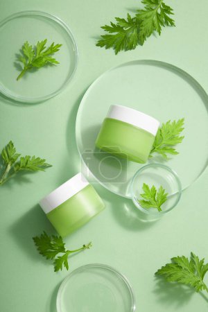 Two empty label jars of Mugwort extract displayed on glass transparent round podium with Mugwort leaves. Mugwort (Artemisia vulgaris) can be used as skincare mask to treat acne